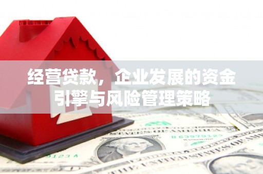 贵溪经营贷款，企业发展的资金引擎与风险管理策略