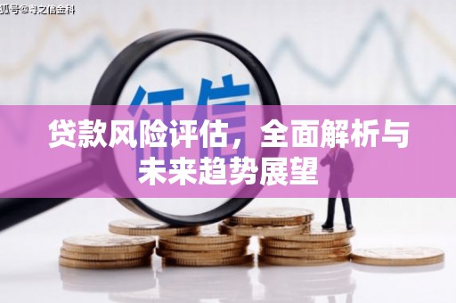贵溪贷款风险评估，全面解析与未来趋势展望