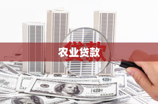 贵溪农业贷款