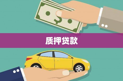 贵溪质押贷款