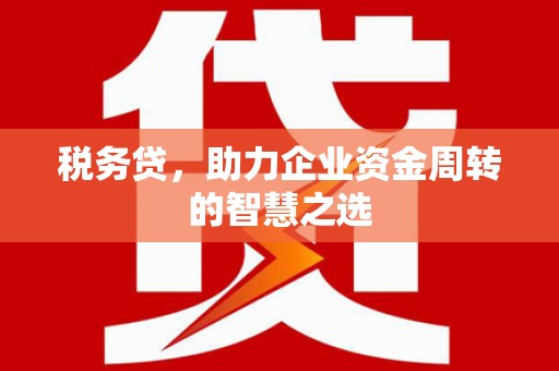 贵溪税务贷，助力企业资金周转的智慧之选