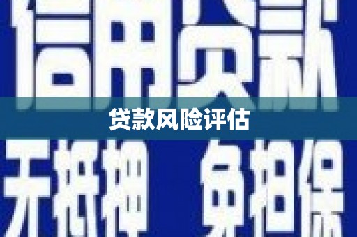 贵溪贷款风险评估