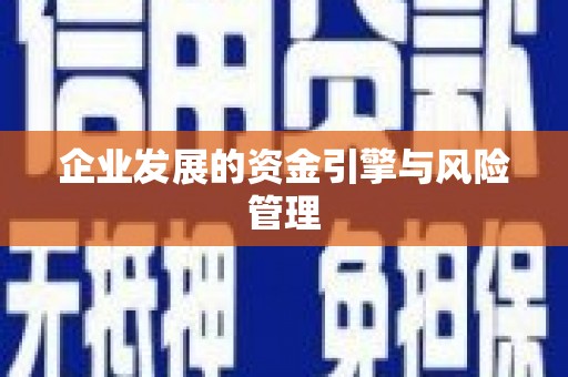 贵溪企业发展的资金引擎与风险管理