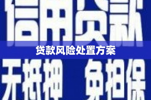 贵溪贷款风险处置方案