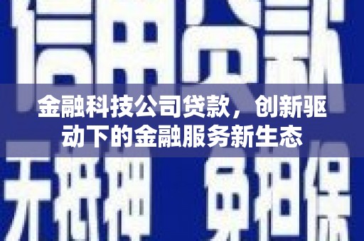贵溪金融科技公司贷款，创新驱动下的金融服务新生态