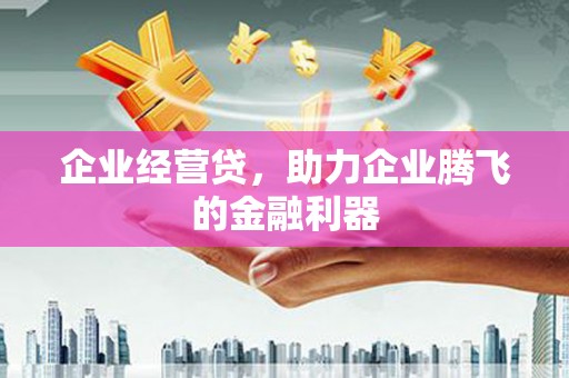 贵溪企业经营贷，助力企业腾飞的金融利器