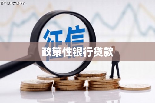 贵溪政策性银行贷款