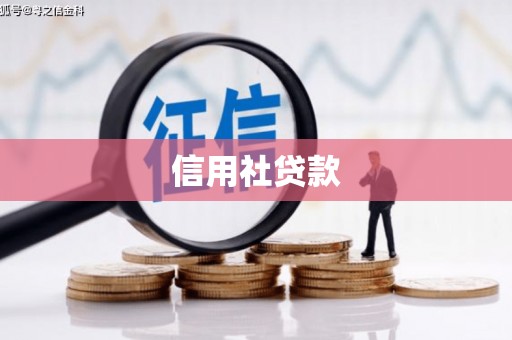 贵溪信用社贷款