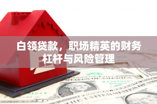 贵溪白领贷款，职场精英的财务杠杆与风险管理