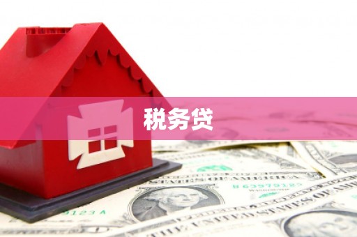 贵溪税务贷
