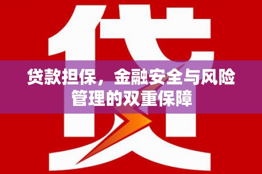 贵溪贷款担保，金融安全与风险管理的双重保障