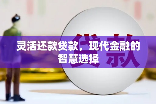 贵溪灵活还款贷款，现代金融的智慧选择