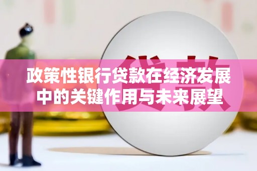 贵溪政策性银行贷款在经济发展中的关键作用与未来展望