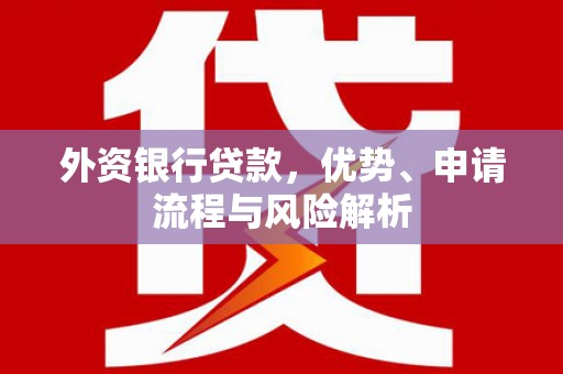 贵溪外资银行贷款，优势、申请流程与风险解析