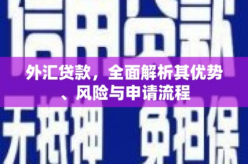 贵溪外汇贷款，全面解析其优势、风险与申请流程