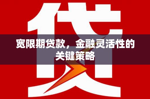 贵溪宽限期贷款，金融灵活性的关键策略