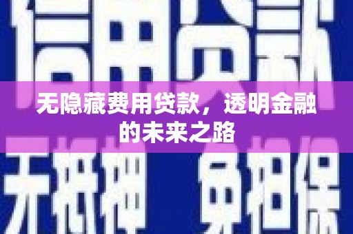 贵溪无隐藏费用贷款，透明金融的未来之路