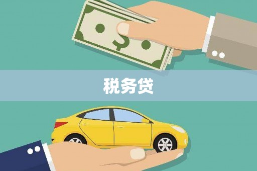 贵溪税务贷