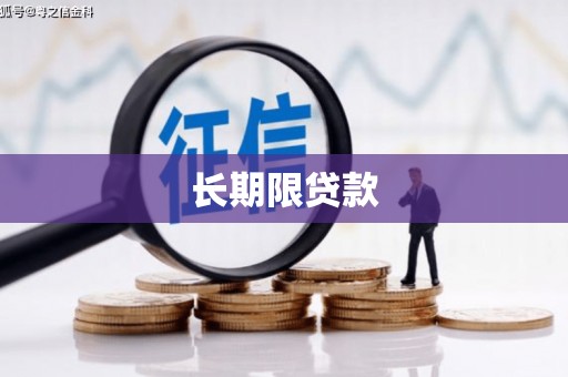 贵溪长期限贷款