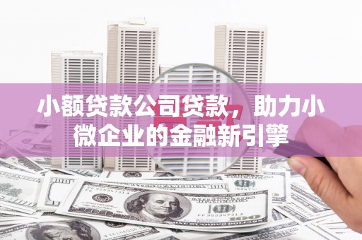 贵溪小额贷款公司贷款，助力小微企业的金融新引擎