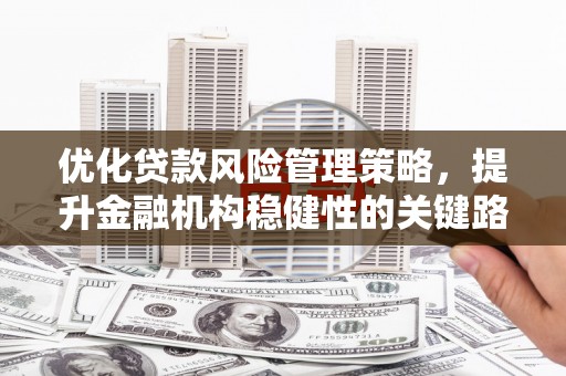 贵溪优化贷款风险管理策略，提升金融机构稳健性的关键路径