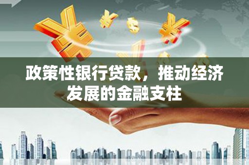 贵溪政策性银行贷款，推动经济发展的金融支柱