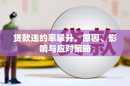 贵溪贷款违约率攀升，原因、影响与应对策略