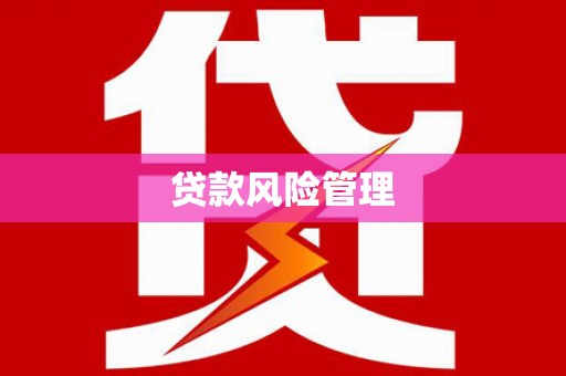 贵溪贷款风险管理