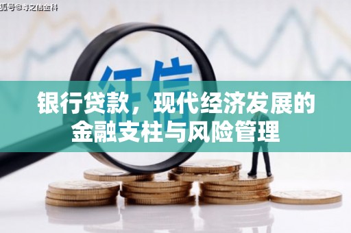 贵溪银行贷款，现代经济发展的金融支柱与风险管理