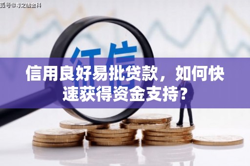 贵溪信用良好易批贷款，如何快速获得资金支持？