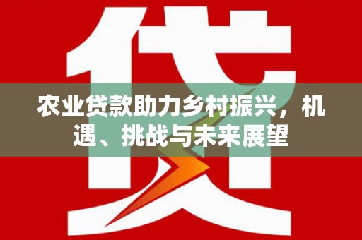贵溪农业贷款助力乡村振兴，机遇、挑战与未来展望