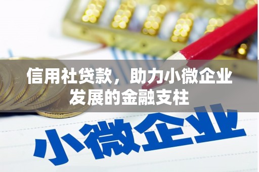 贵溪信用社贷款，助力小微企业发展的金融支柱