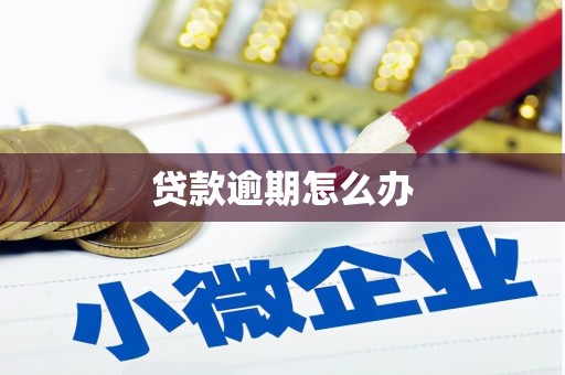 贵溪贷款逾期怎么办