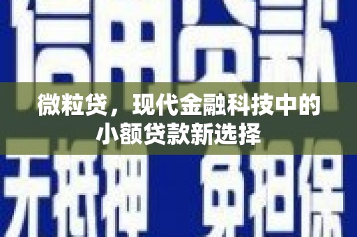 贵溪微粒贷，现代金融科技中的小额贷款新选择