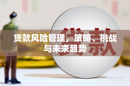 贵溪贷款风险管理，策略、挑战与未来趋势