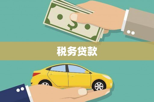 贵溪税务贷款