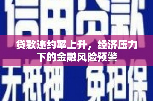 贵溪贷款违约率上升，经济压力下的金融风险预警