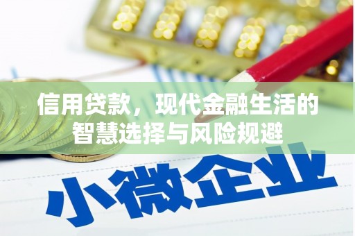 贵溪信用贷款，现代金融生活的智慧选择与风险规避