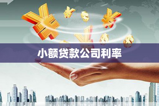 贵溪小额贷款公司利率