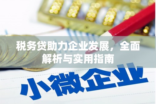 贵溪税务贷助力企业发展，全面解析与实用指南