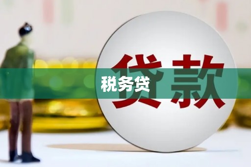 贵溪税务贷
