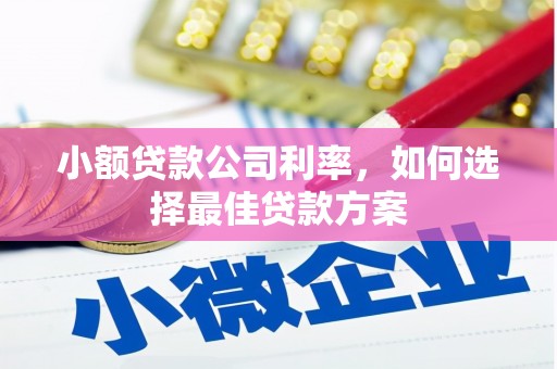 贵溪小额贷款公司利率，如何选择最佳贷款方案