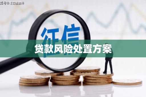 贵溪贷款风险处置方案
