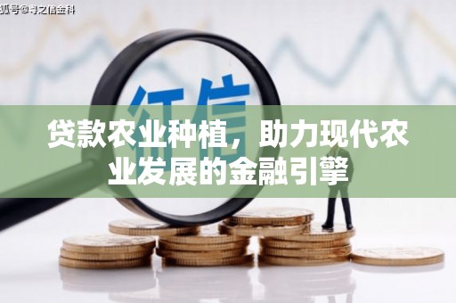 贵溪贷款农业种植，助力现代农业发展的金融引擎