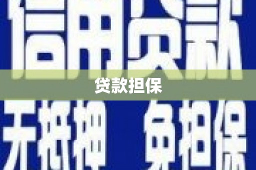贵溪贷款担保