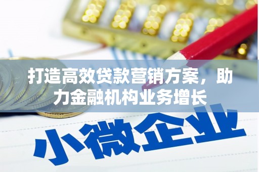 贵溪打造高效贷款营销方案，助力金融机构业务增长