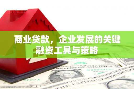 贵溪商业贷款，企业发展的关键融资工具与策略
