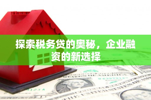 贵溪探索税务贷的奥秘，企业融资的新选择