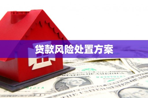 贵溪贷款风险处置方案