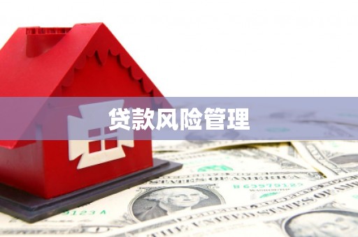 贵溪贷款风险管理
